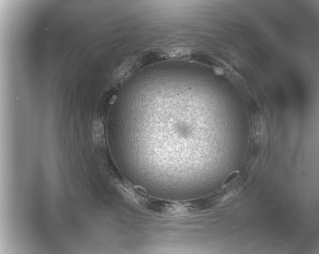 X0000054430523200508051836