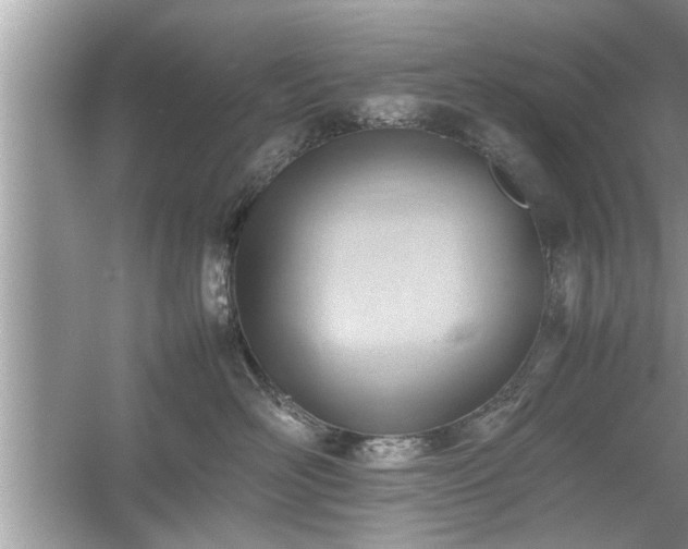 X0000054430526200508051836