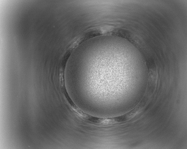 X0000054430527200508051836