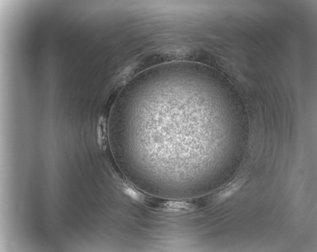 X0000054430528200508051836