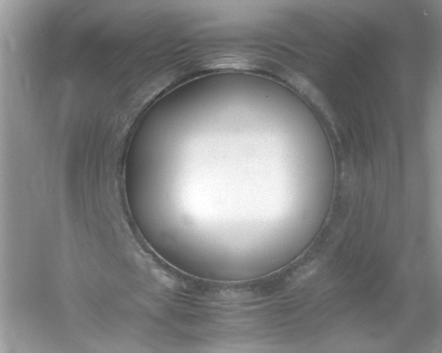 X0000054430529200508051835