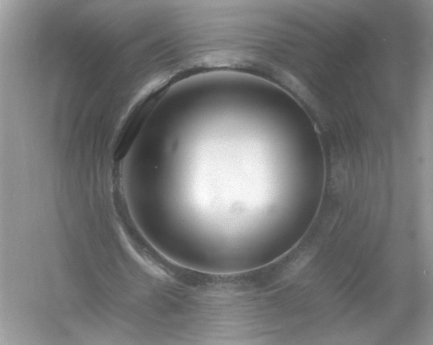 X0000054430530200508051835