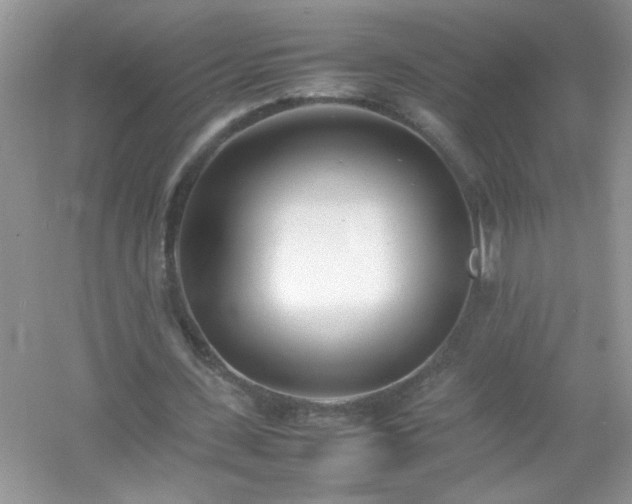 X0000054430531200508051835