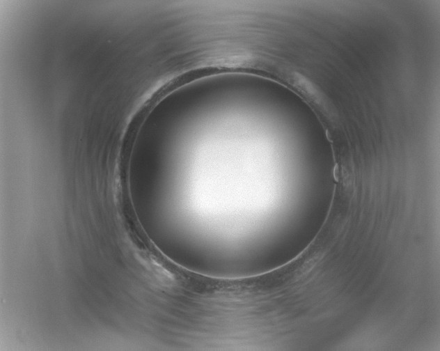 X0000054430532200508051835