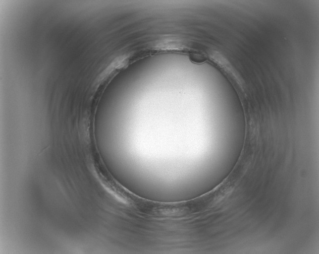 X0000054430533200508051835