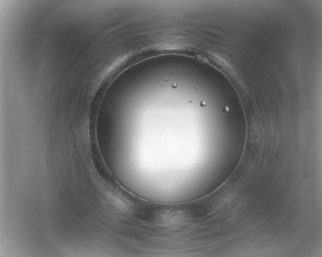 X0000054430535200508051835