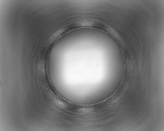 X0000054430537200508051835