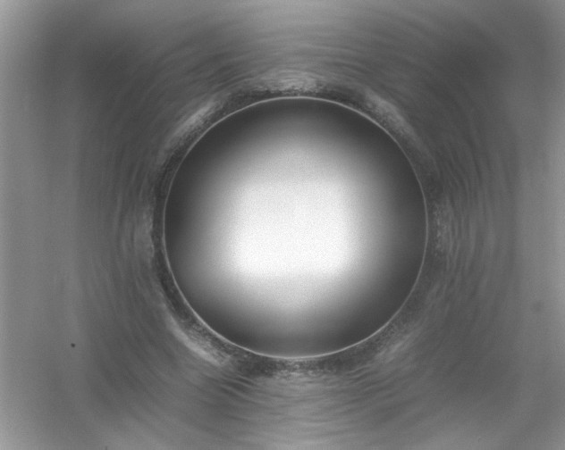 X0000054430538200508051835