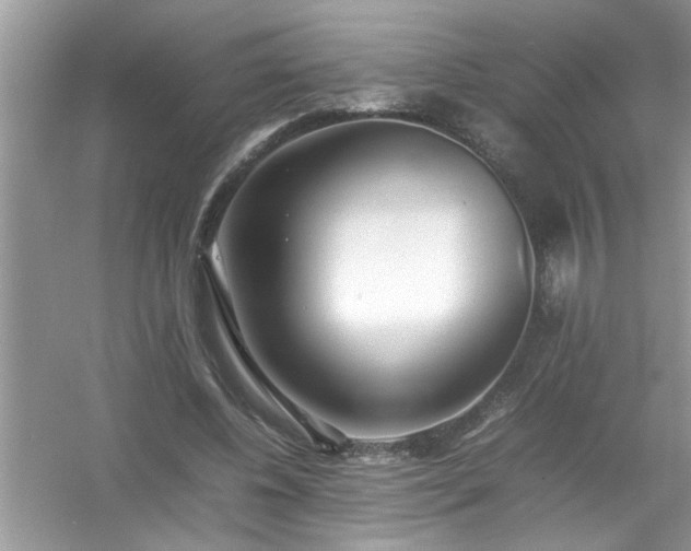 X0000054430540200508051835