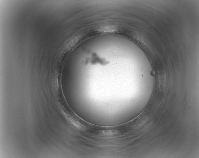 X0000054430541200508051835