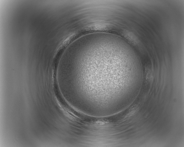 X0000054430542200508051835