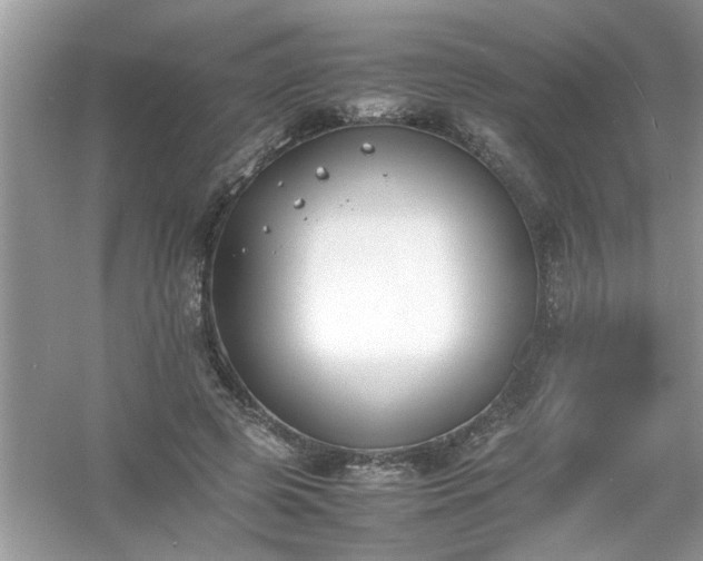 X0000054430545200508051835