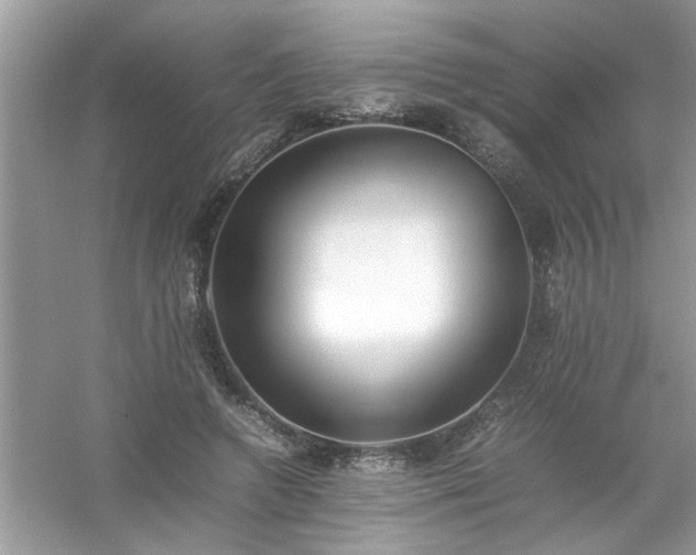 X0000054430546200508051835