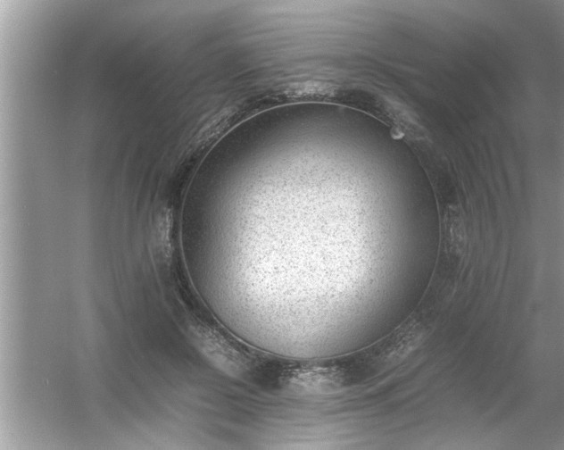 X0000054430550200508051835