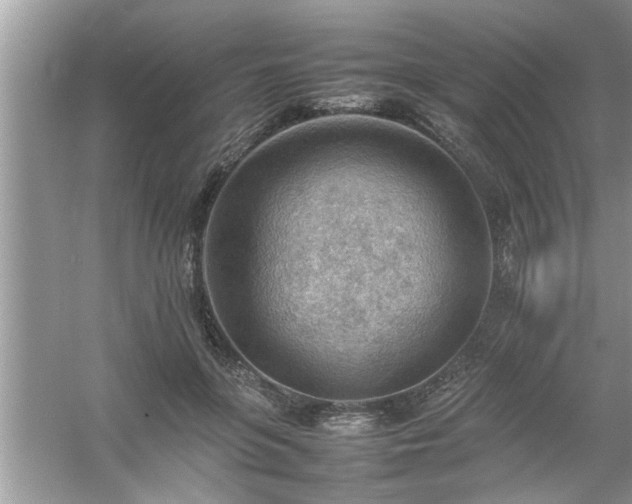 X0000054430551200508051835