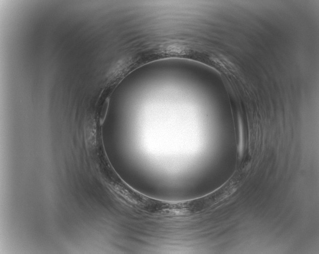 X0000054430552200508051835