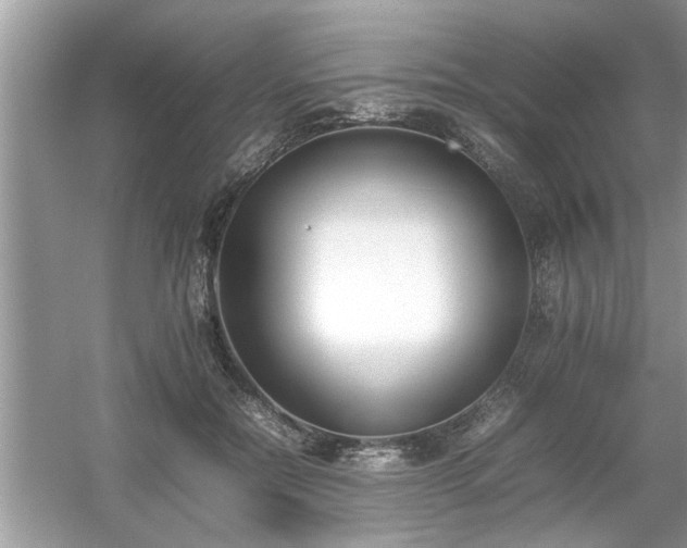 X0000054430554200508051835