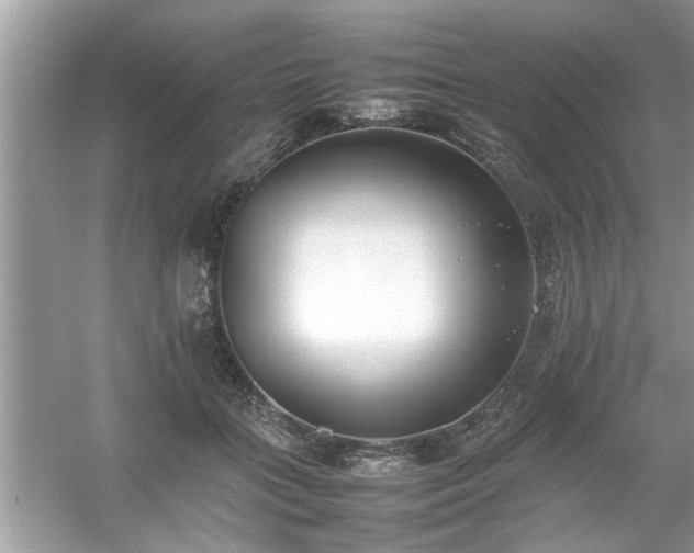 X0000054430555200508051835