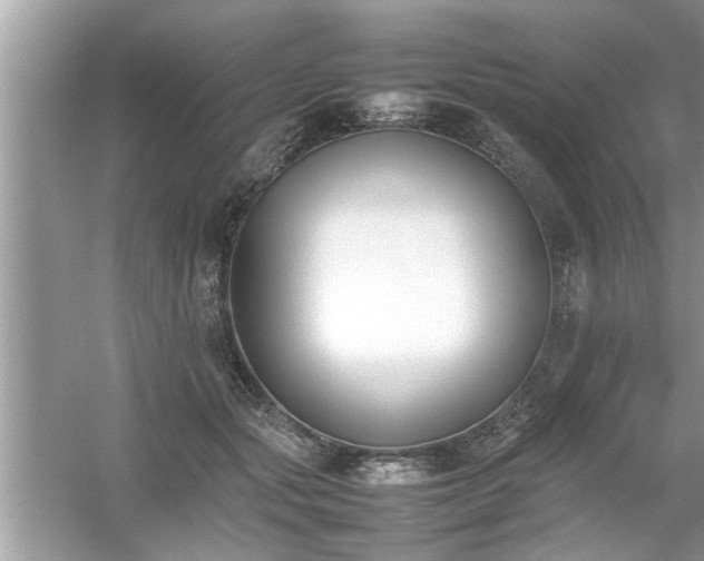 X0000054430557200508051835