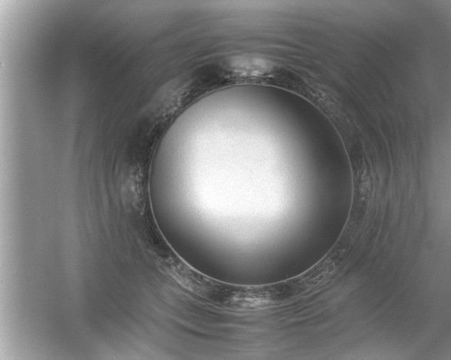 X0000054430559200508051835