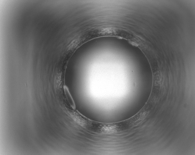 X0000054430560200508051835