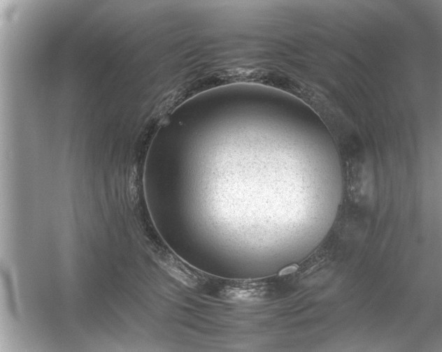 X0000054430563200508051836