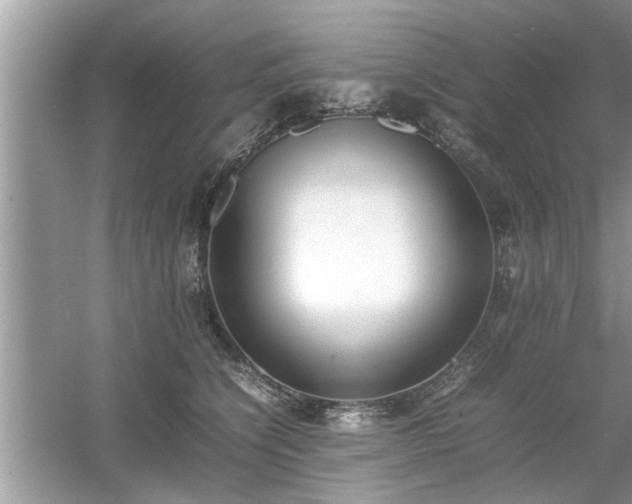 X0000054430564200508051836