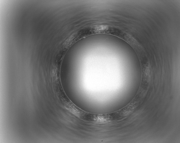 X0000054430565200508051836