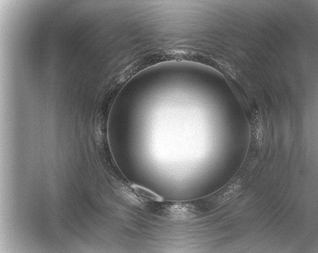 X0000054430566200508051836