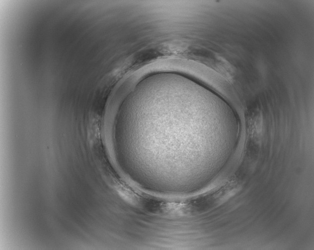 X0000054430570200508051836