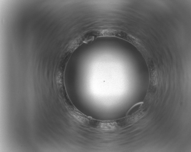 X0000054430571200508051836