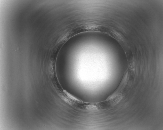 X0000054430572200508051836