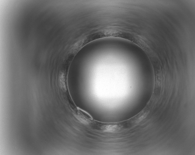 X0000054430575200508051836