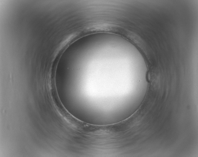 X0000054430578200508051835