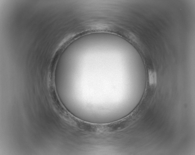 X0000054430579200508051835