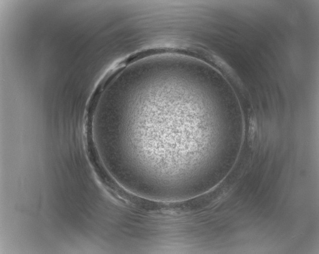 X0000054430580200508051835