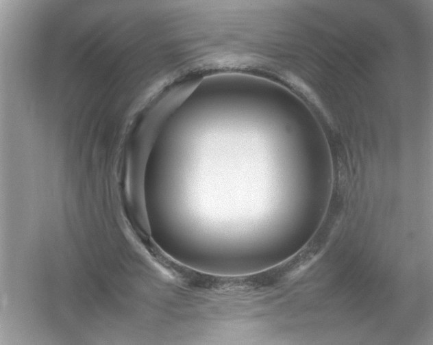 X0000054430581200508051835