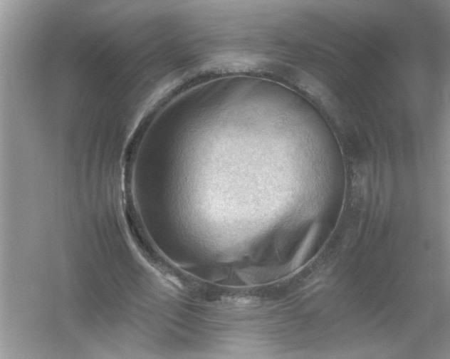 X0000054430582200508051835