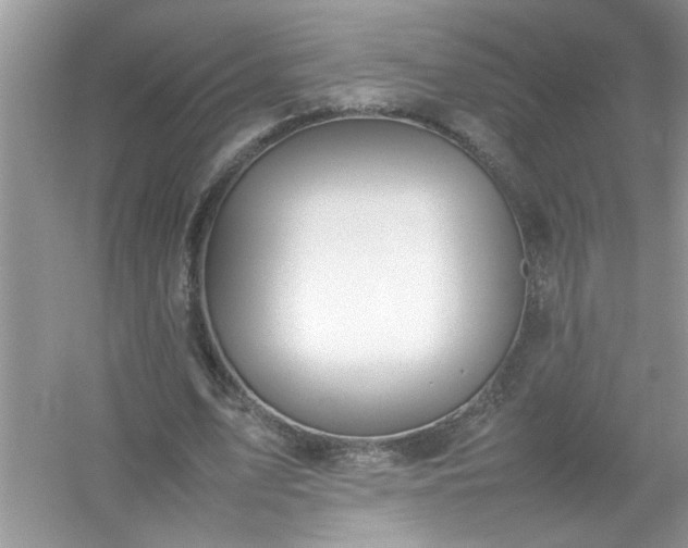 X0000054430583200508051835