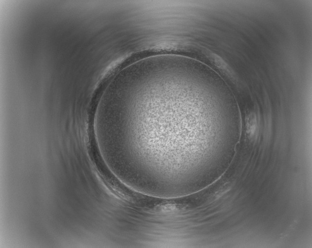 X0000054430588200508051835