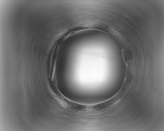 X0000054430589200508051835