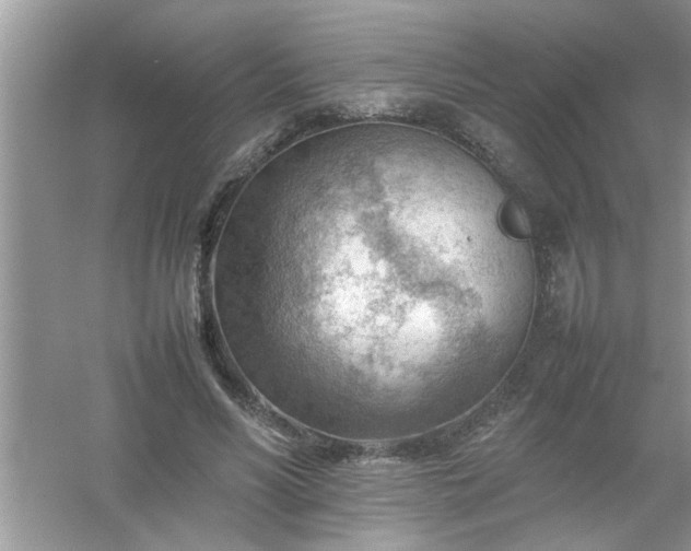 X0000054430590200508051835