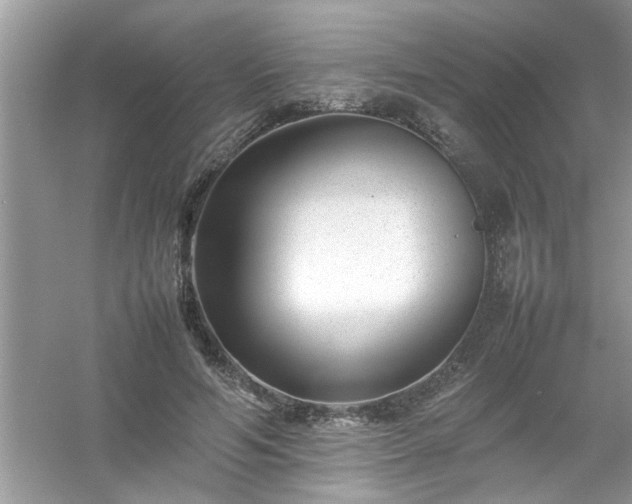 X0000054430594200508051835