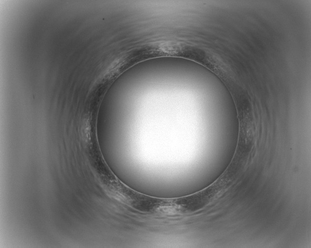 X0000054430595200508051835