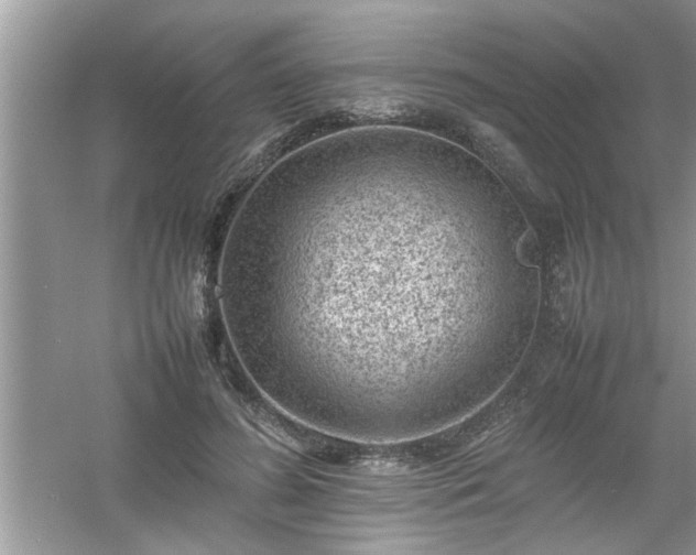 X0000054430596200508051835