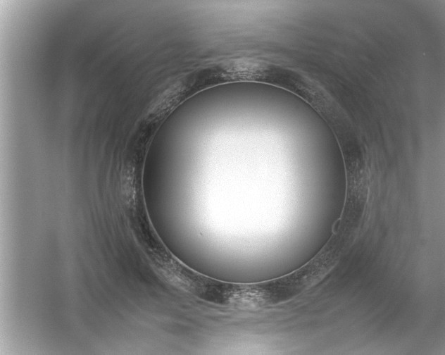 X0000054430599200508051835