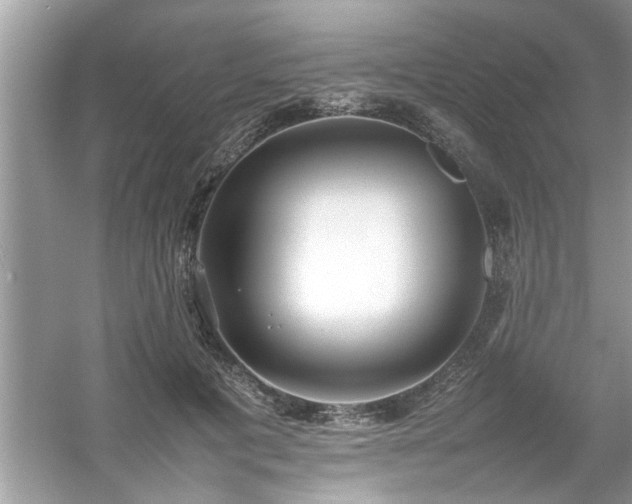 X0000054430601200508051835