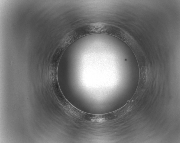 X0000054430602200508051834