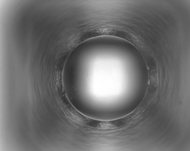 X0000054430605200508051834