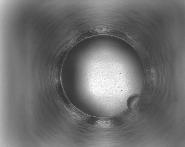 X0000054430606200508051834